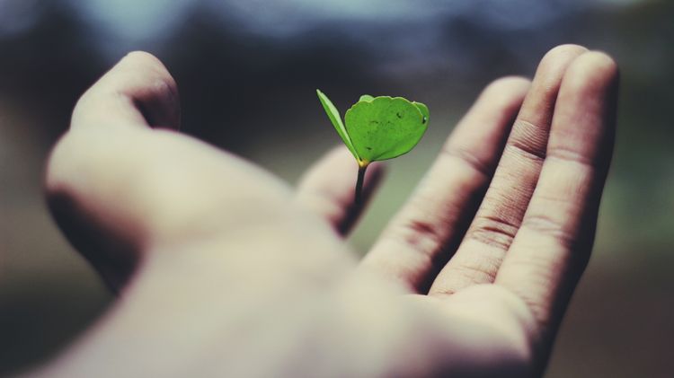 Is personal development worth it?