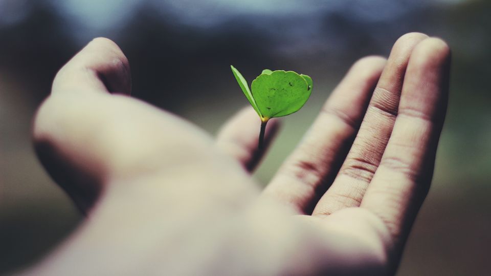 Is personal development worth it?