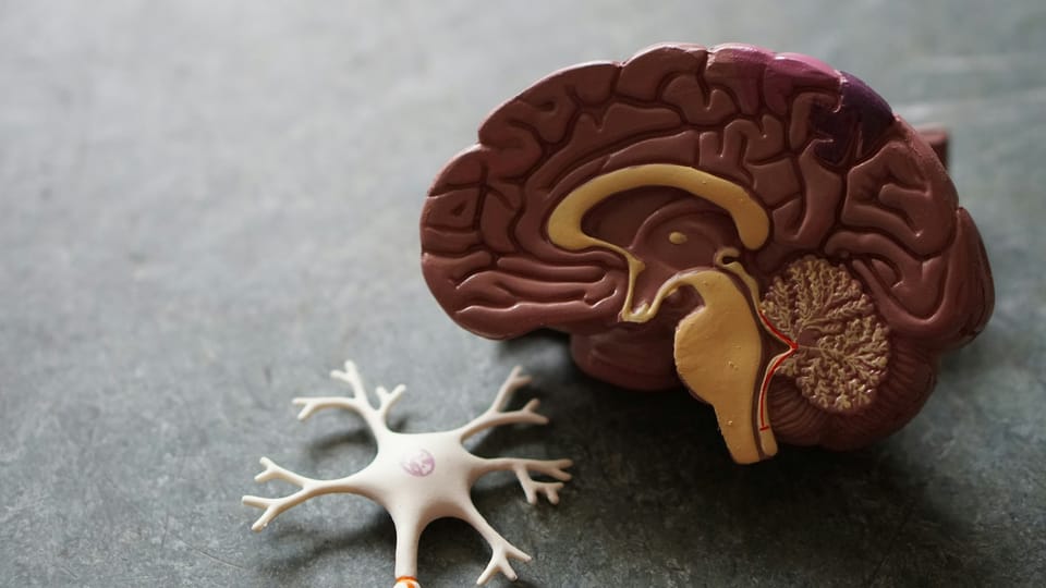 Brain rot antidotes